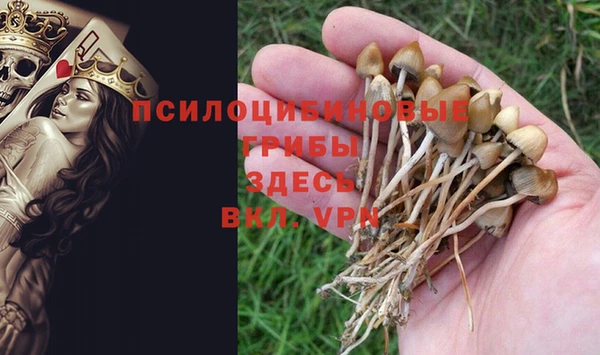 apvp Абинск