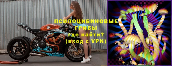 a pvp Краснослободск
